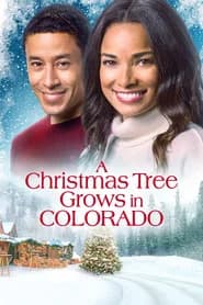 A Christmas Tree Grows in Colorado
