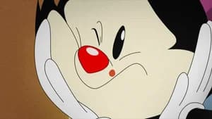 A Zit!