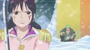Showing Off His Techniques! Zoro's Formidable One-Sword Style!